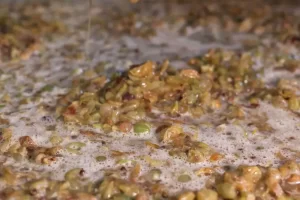 Houd je gist happy! Fermentatie zonder fouten: zo houd je je gist actief en gezond