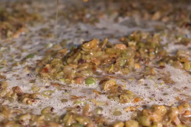 Houd je gist happy! Fermentatie zonder fouten: zo houd je je gist actief en gezond