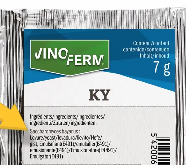 Zelf wijn maken? Ontdek de voordelen van Saccharomyces bayanus in smaak en stabiliteit van wijn