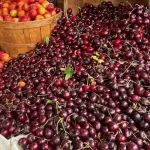 Zelfgemaakte Kersenwijn Maken: Een Eenvoudig Stapsgewijs Recept, Gewoon Met Kersen Van De Markt 🍒🍒🍒