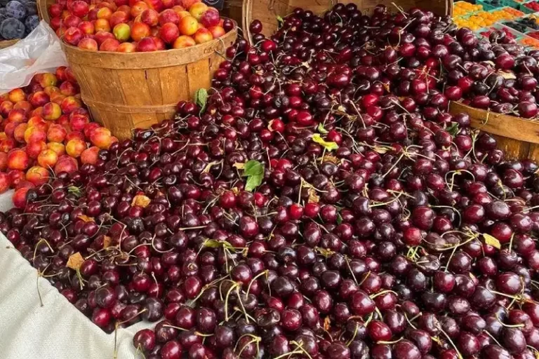 Zelfgemaakte Kersenwijn Maken: Een Eenvoudig Stapsgewijs Recept, Gewoon Met Kersen Van De Markt 🍒🍒🍒