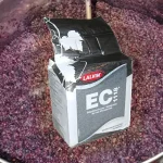 Meer Weten over Saccharomyces cerevisiae (wijn gist)