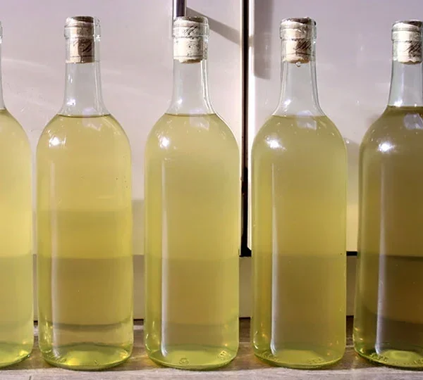 Zelf witte wijn maken van druiven uit eigen tuin - Stapsgewijze Handleiding van 12 stappen