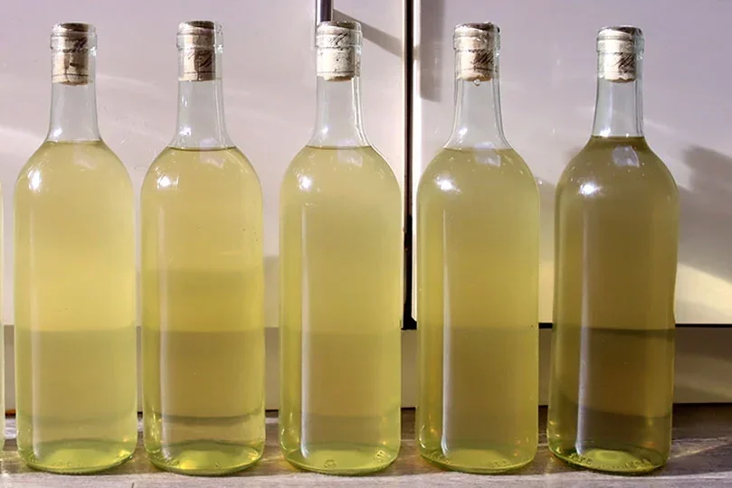 Zelf witte wijn maken van druiven uit eigen tuin - Stapsgewijze Handleiding van 12 stappen