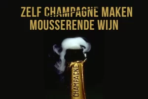 Zelf champagne maken - hoe maak je met succes je eigen mousserende wijn? 🍾🥂