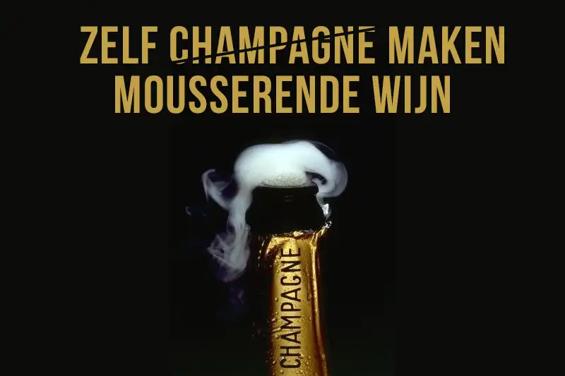 Zelf champagne maken - hoe maak je met succes je eigen mousserende wijn? 🍾🥂