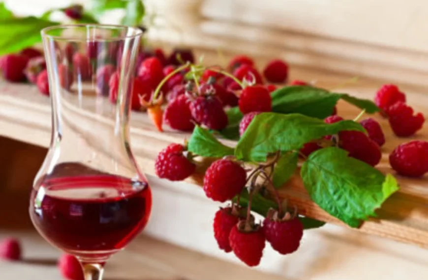 Heerlijk Frambozenwijn Recept | Hoe Maak Je Frambozenwijn Thuis