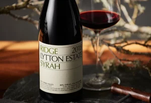 Syrah: Alles wat je moet weten over Syrah (Shiraz) wijn