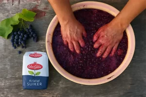 Hoeveel suiker moet je toevoegen bij wijn maken?