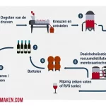 Hoe maak ik zelf alcoholvrije wijn thuis? 🍇🍷
