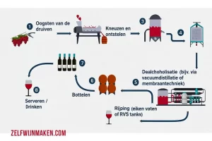 Hoe maak ik zelf alcoholvrije wijn thuis? 🍇🍷