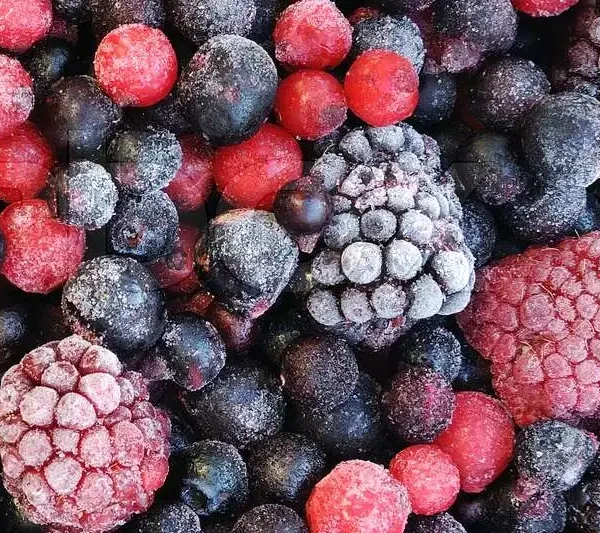 Wijn Maken in de Winter? 4 Manieren Als Je Niet Over Vers Geplukt Fruit Beschikt (+ Tips)